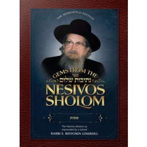 [9781600916540] Gems from the Nesivos Sholom: Shemos