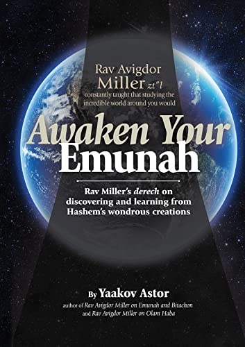 [9781607633358] Awaken Your Emunah