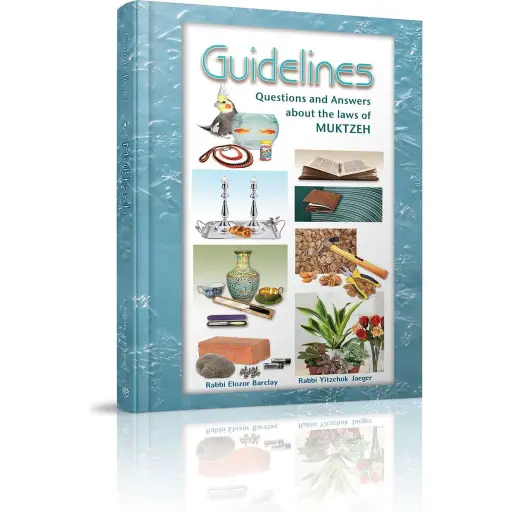[9781614654179] Guidelines - Questions and Answers about the laws of MUKTZEH