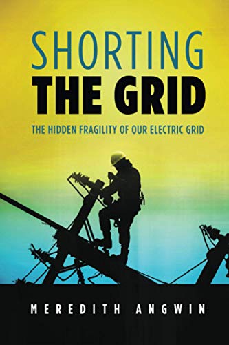 [9781735358000] Shorting the Grid: The Hidden Fragility of Our Electric Grid