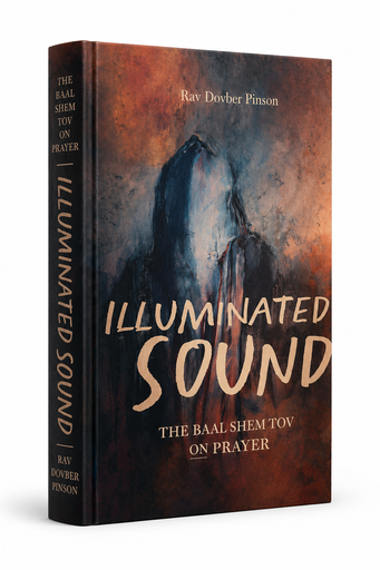 [9781736702611] Illuminated Sound: The Baal Shem Tov on Prayer | Rav Dovber Pinson