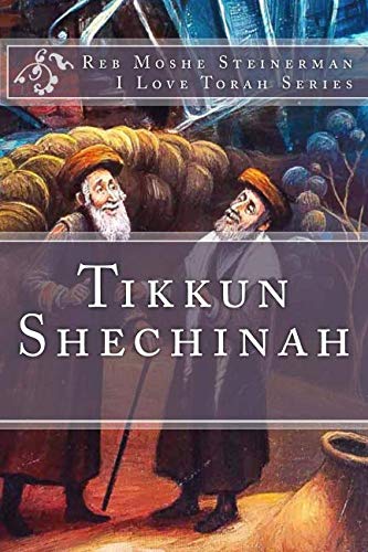[9781947706088] Tikkun Shechinah