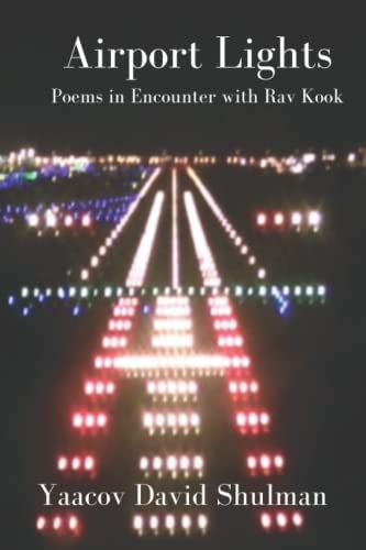 [9781974402137] Airport Lights: poems