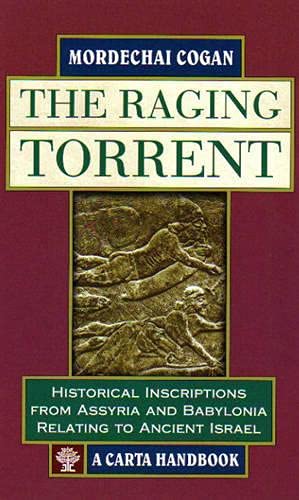 [9789652207074] The Raging Torrent: Historical Inscriptions from Assyria and Babylonia Relating to Ancient Israel