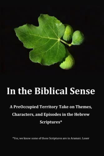 [9798845832917] In The Biblical Sense: PreOccupied Territory Reads The Hebrew Scriptures