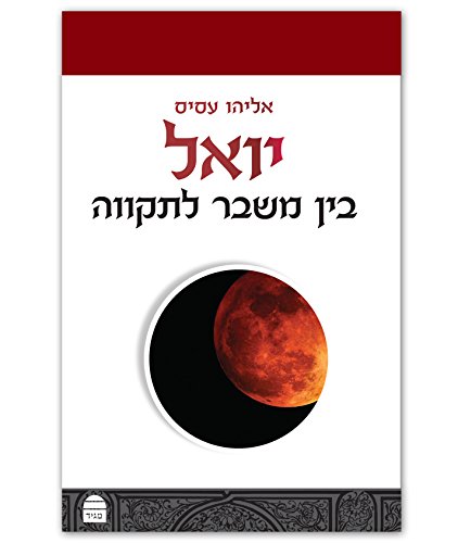 [9789655261677] יואל | סדרת מגיד על נ"ך