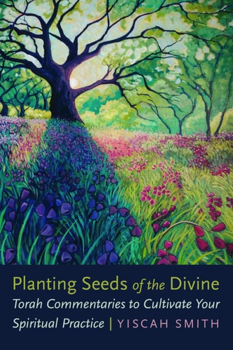 [9780827615717] Pre-Order | Planting Seeds of the Divine: Torah Commentaries to Cultivate Your Spiritual Practice