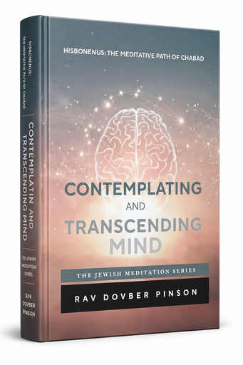 [9798991964012] Out Of Print | Contemplating and Transcending Mind | Rav Dovber Pinson