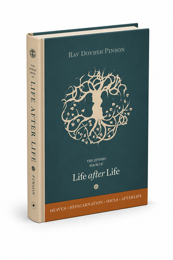 [‎9780991472000] ‎The Book of Life After Life / Afterlife | Rav Dovber Pinson
