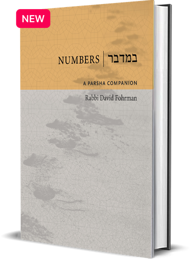 [9781592646982] Numbers / Bamidbar: A Parsha Companion 