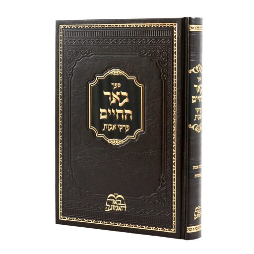 פרקי אבות באר החיים 
