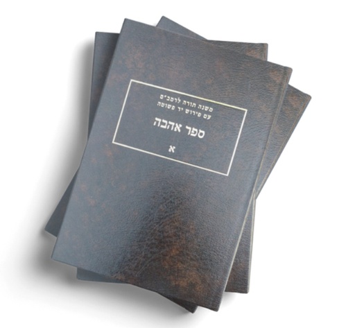 [240620251529] משפטים א | יד פשוטה על משנה תורה לרמב"ם | נחום רבינוביץ