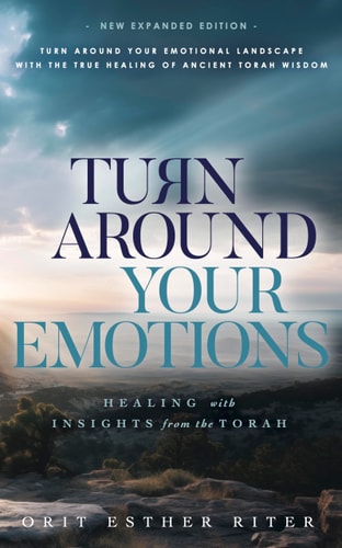 [9781568717128] TURN AROUND Your Emotions