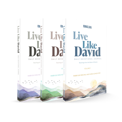 [9781957109657] Live Like David - Daily Devotional Journal - 3 Volume Softcover Set