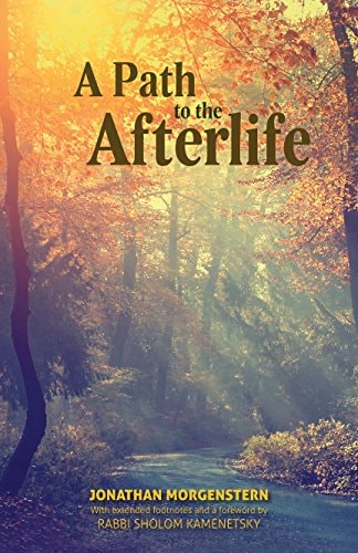 [9781946351241] A Path to the Afterlife - Based on the Teachings of Rabbi Sholom Kamenetsky