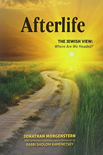 [9781937887254] Afterlife: The Jewish View