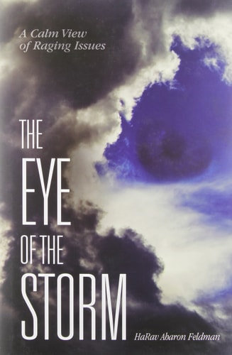 [9781598264548] The Eye of the Storm: A Calm View of Raging Issues