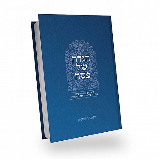 [132110162025] הגדה של פסח | באור פניך