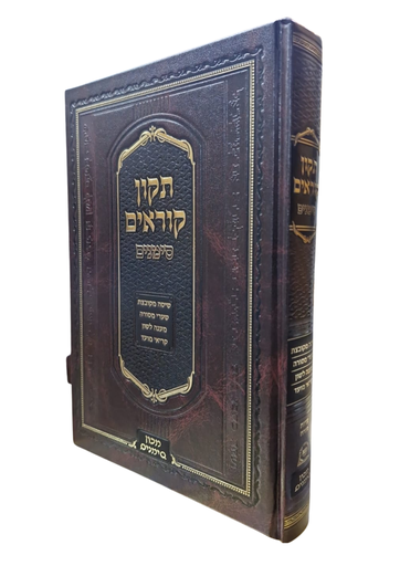 [202510111640] תיקון קוראים סימנים | בינוני 25 ס"מ | עדות מזרח