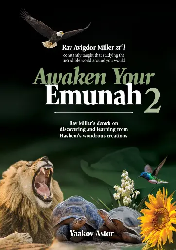 [9781607634270] Awaken Your Emunah | Volume 2