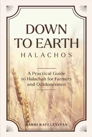 [9798897670185] Down to Earth Halachos