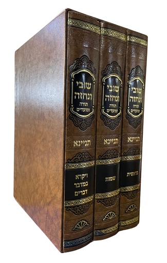[85746788] שובי ונחזה על תורה  | תניינא | סט 3 כרכים