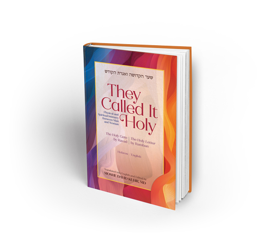 [9789655243864] They Called It Holy: The Holy Gate of Ravad | The Holy Letter of Ramban