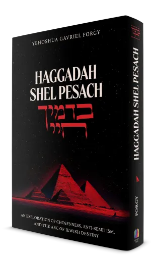 [9798897670482] Haggadah Shel Pesach, B'Damayich Chayi - An exploration of chosenenness, anti-semitism, and the ar of Jewish destiny