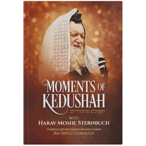 [9798886733686] Moments of Kedushah