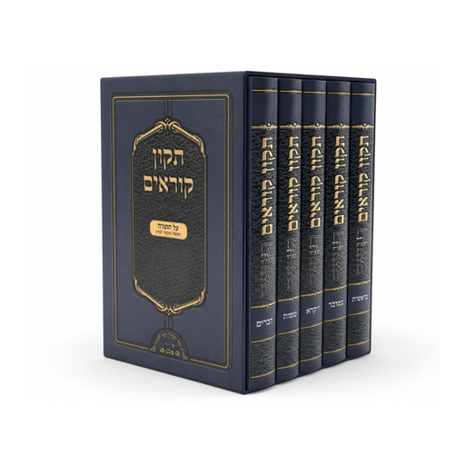 מבצע! תיקון קוראים סימנים - כיס | סט 5 כרכים | כריכה קשה