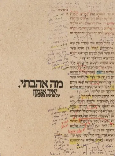 [036200048771] מה אהבתי - פרשת השבוע 